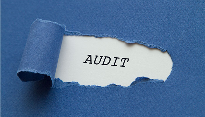 Audit ISTOCK Audit