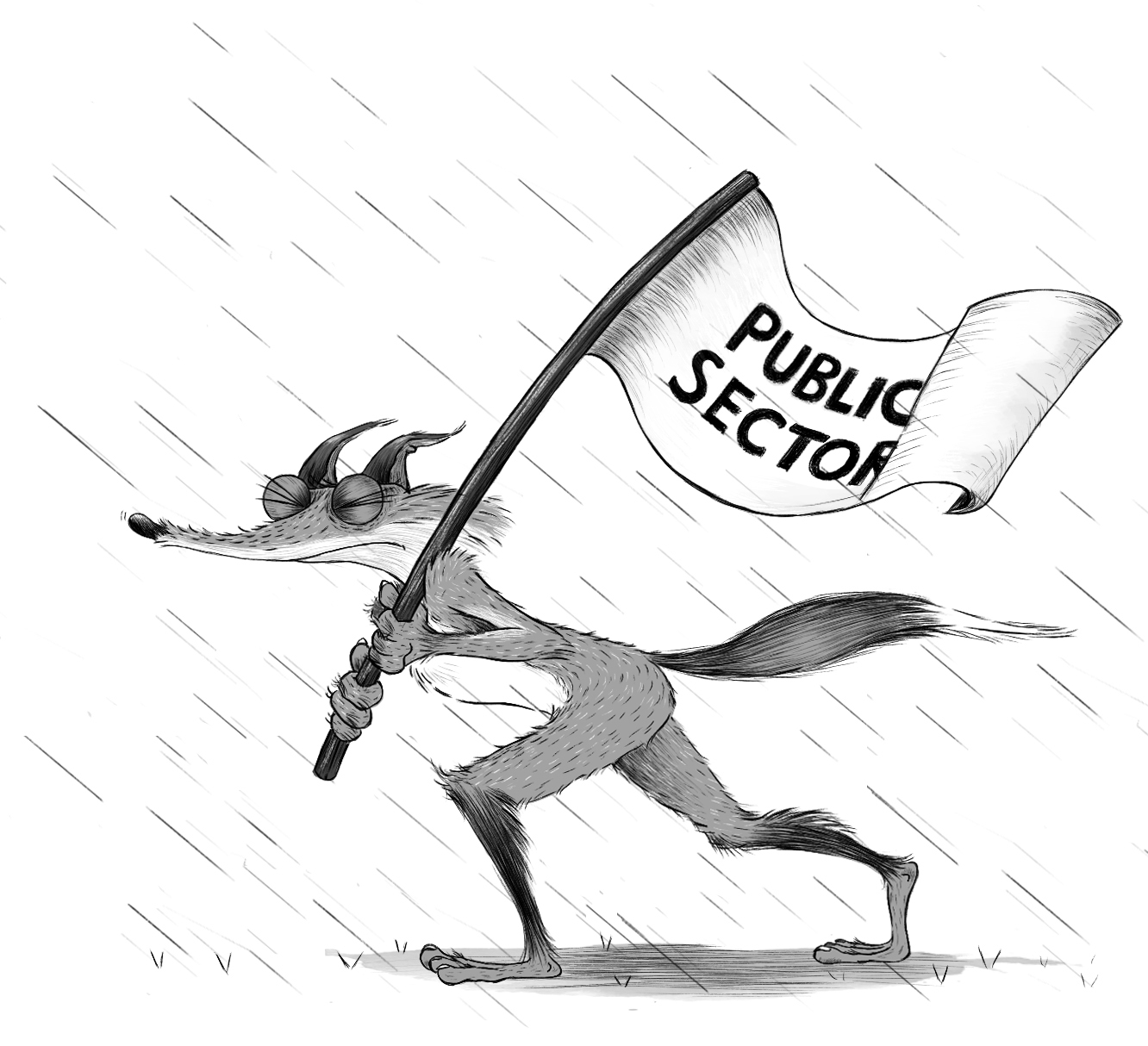 Public sector fox