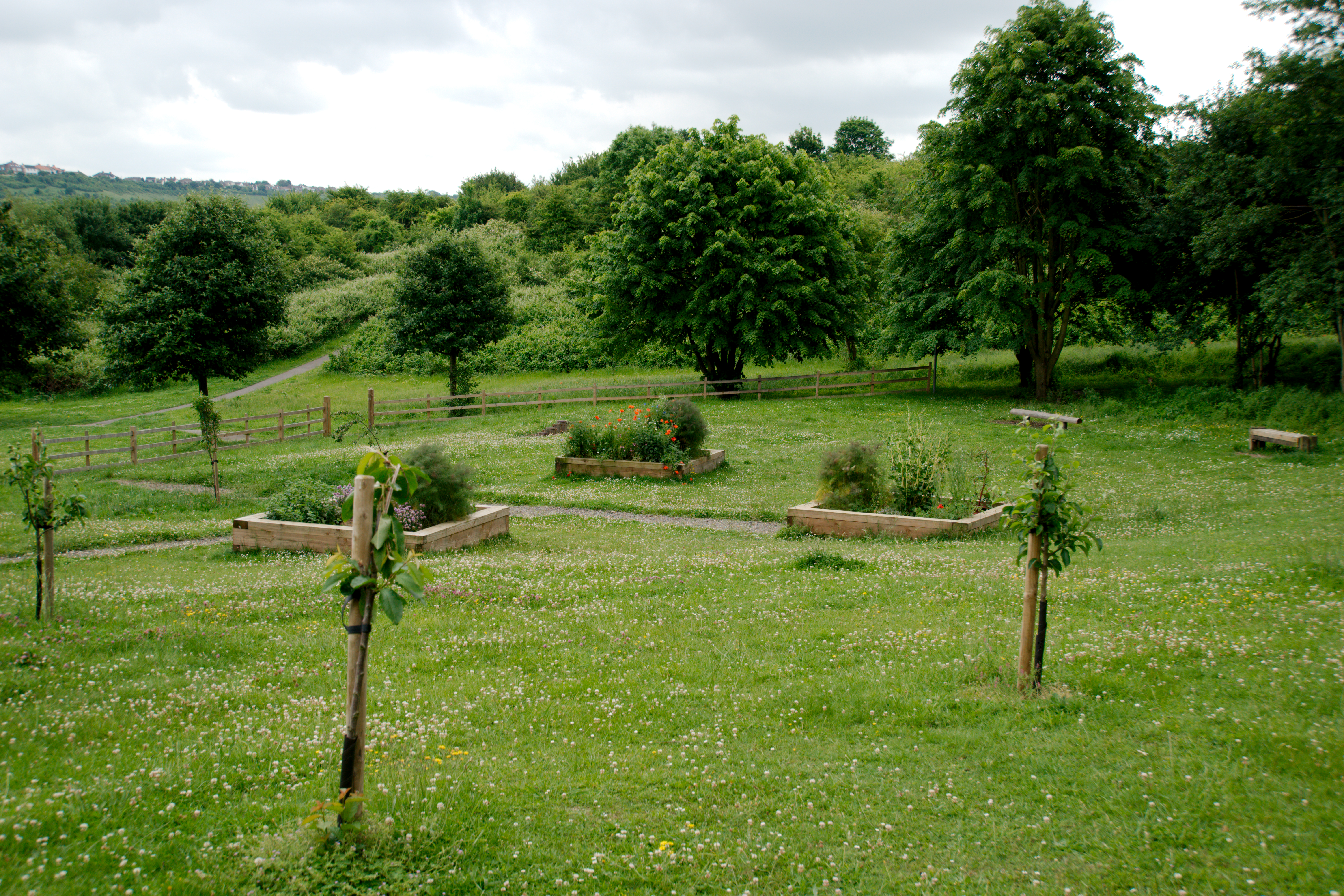 Pocket park project in Chatham