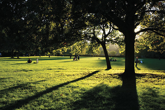 Assuring the future of public parks will take more than pockets of good practice. 