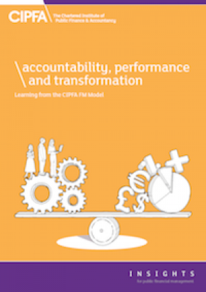 Download Accountability, Performance and Transformation: Learning from the CIPFA FM Model 