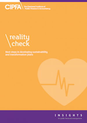 Reality Check: Next steps in developing sustainability and transformation plans