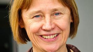 Lin Homer, the chief executive and permanent secretary at HM Revenue &amp; Customs, has been made a dame in the New Year honours in recognition for her service to public finance.