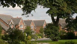 Housing development