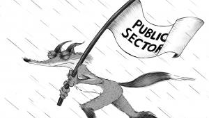 Public sector fox