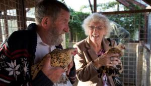 Elderly people with chickens