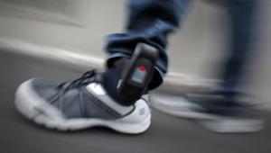 Ankle Tag_ PA