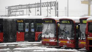Buses PA