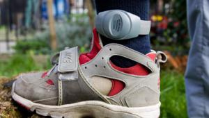 The Cabinet Office has ordered a government-wide review of contracts held by G4S and Serco after an audit found that the Ministry of Justice had been billed for millions of pounds worth of electronic tagging services that had not been carried out.