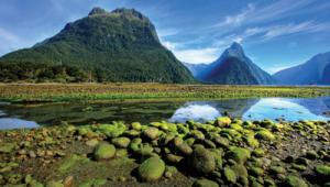 New Zealand, Photo: Shutterstock