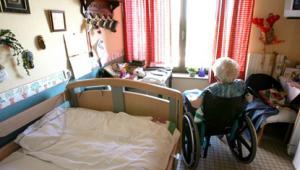 Care Homes REX