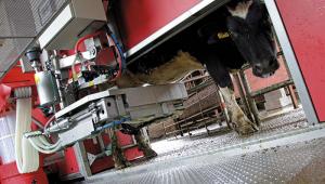Milking Machine Alamy