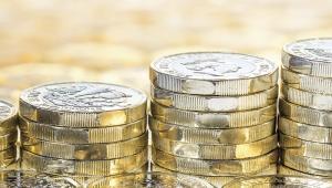 Pound coins