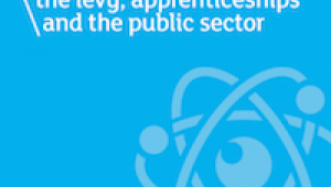 Download The levy, apprenticeships and the public sector