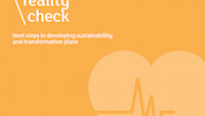 Reality Check: Next steps in developing sustainability and transformation plans