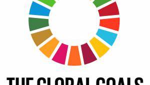   The UK’s lack of a “strategic and comprehensive approach” to the implementation of the Sustainable Development Goals is deeply concerning, the country’s International Development Select Committee has said.