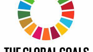   The UK’s lack of a “strategic and comprehensive approach” to the implementation of the Sustainable Development Goals is deeply concerning, the country’s International Development Select Committee has said.