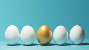 Pensions Nest Egg