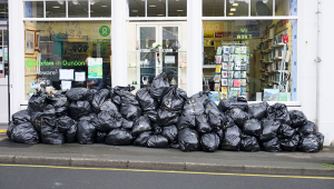 Birmingham bins