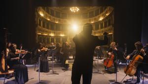 web_cinematic-back-view-professional-conductor-directing_credit_kitreel_shutterstock_2287585921_800x500.jpg