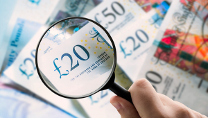 public finance scrutiny
