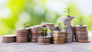 Investment growth