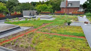 Green roofs 