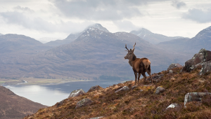 Highlands, Scotland