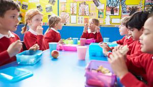 School meals - primary school children 