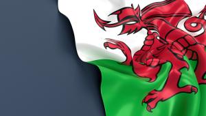 web_welsh-flag_credit_istock-1430994827.jpg