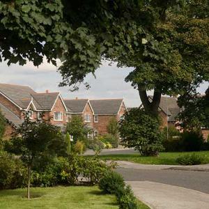 Housing development