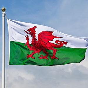 Welsh flag