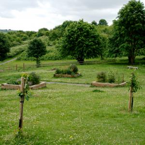 Pocket park project in Chatham