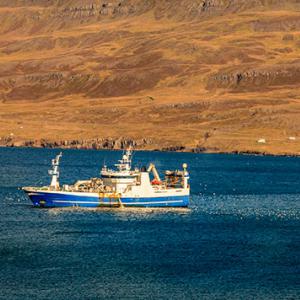 Fishing ship
