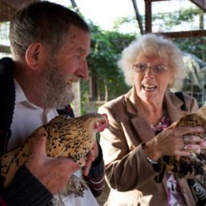 Elderly people with chickens