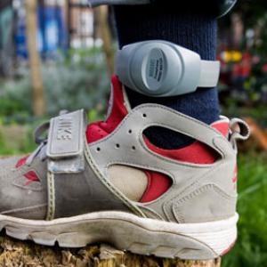 The Cabinet Office has ordered a government-wide review of contracts held by G4S and Serco after an audit found that the Ministry of Justice had been billed for millions of pounds worth of electronic tagging services that had not been carried out.