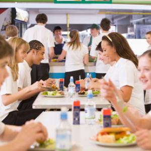 School dinners