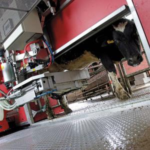 Milking Machine Alamy