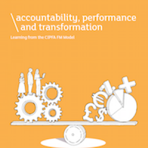 Download Accountability, Performance and Transformation: Learning from the CIPFA FM Model 