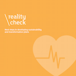 Reality Check: Next steps in developing sustainability and transformation plans