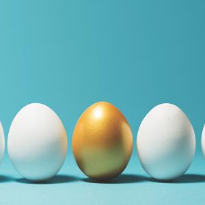 Pensions Nest Egg