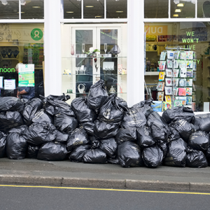 Birmingham bins