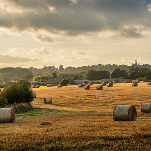 farmland