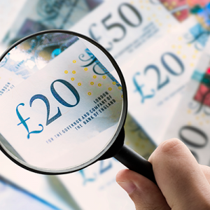 public finance scrutiny