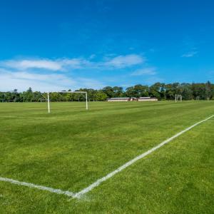 football pitches - Credit - iStock-701049936