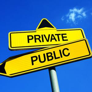 Public private