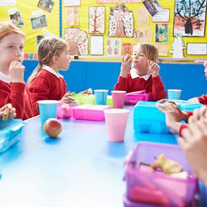 School meals - primary school children 