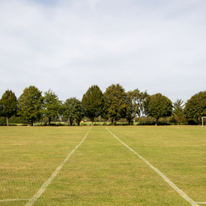 Sports field Shutterstock 1507947272
