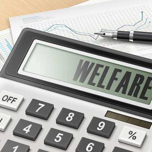 Welfare costs