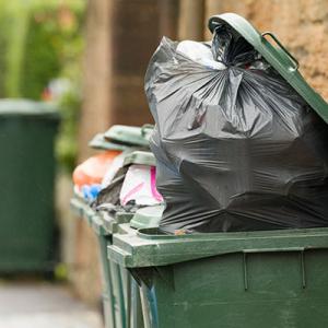 Wheelie bins